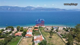 Αγροτεμάχια 500 τ.μ. για πώληση