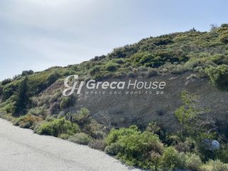 Οικόπεδο 240.000 τ.μ. προς πώληση, Οξύλιθος-thumb-18