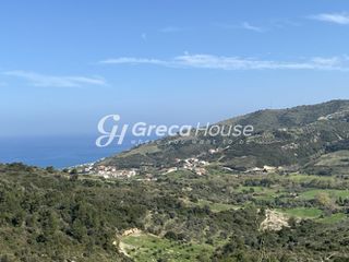 Οικόπεδο 240.000 τ.μ. προς πώληση, Οξύλιθος-thumb-6