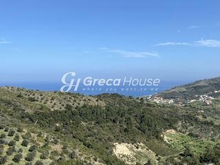 Οικόπεδο 240.000 τ.μ. προς πώληση, Οξύλιθος-thumb-15