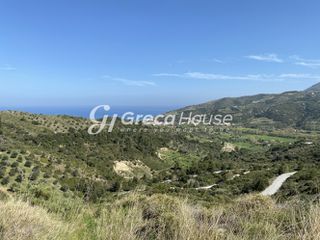 Οικόπεδο 240.000 τ.μ. προς πώληση, Οξύλιθος-thumb-23