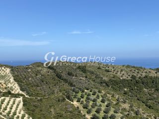 Οικόπεδο 240.000 τ.μ. προς πώληση, Οξύλιθος-thumb-17