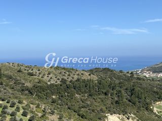 Οικόπεδο 240.000 τ.μ. προς πώληση, Οξύλιθος-thumb-8