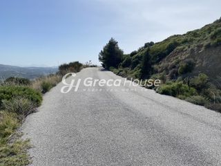 Οικόπεδο 240.000 τ.μ. προς πώληση, Οξύλιθος-thumb-7