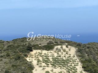 Οικόπεδο 240.000 τ.μ. προς πώληση, Οξύλιθος-thumb-11