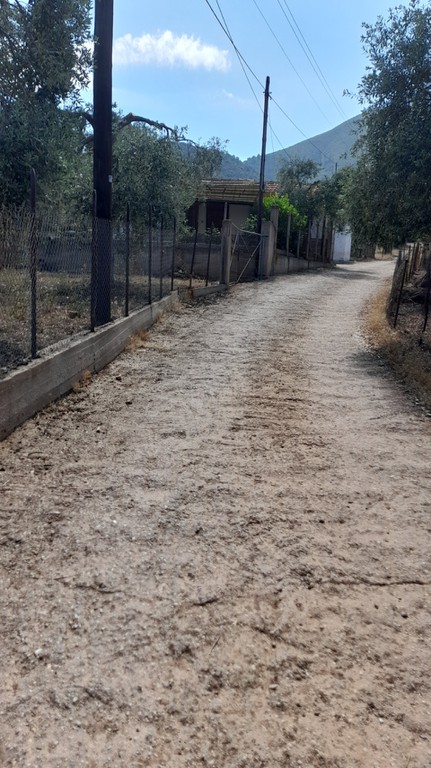 Αγροτεμάχια 1.700 τ.μ. προς πώληση, Σκάλα Καλλιράχης