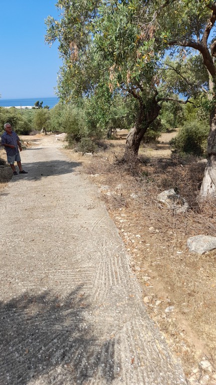 Αγροτεμάχια 1.700 τ.μ. προς πώληση, Σκάλα Καλλιράχης