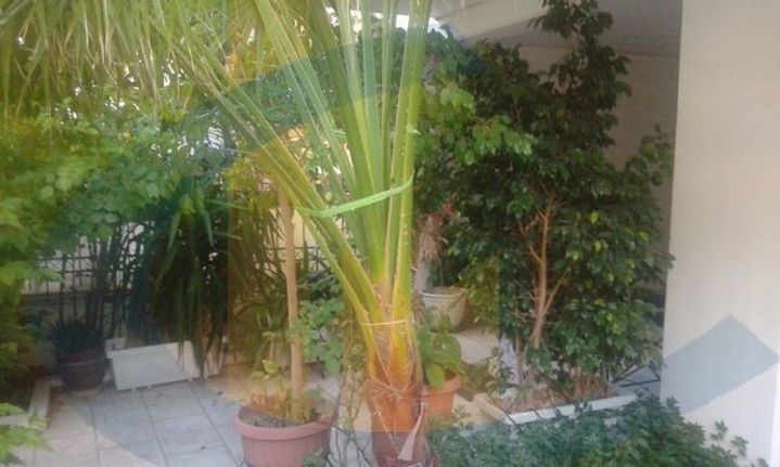 Building 195 sqm for sale, Athens - South, Agios Dimitrios