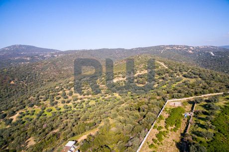 Διαμέρισμα 48 τ.μ. προς πώληση