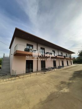 Business 967sqm for sale-Zacharo » Neochori