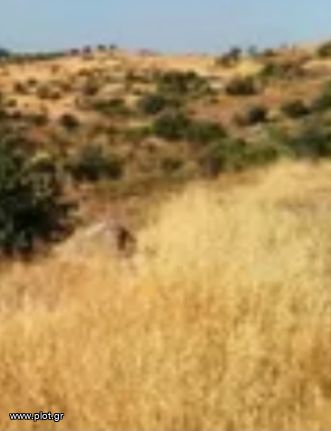 Οικόπεδο 60.000 τ.μ. για πώληση, Κυκλάδες, Κύθνος