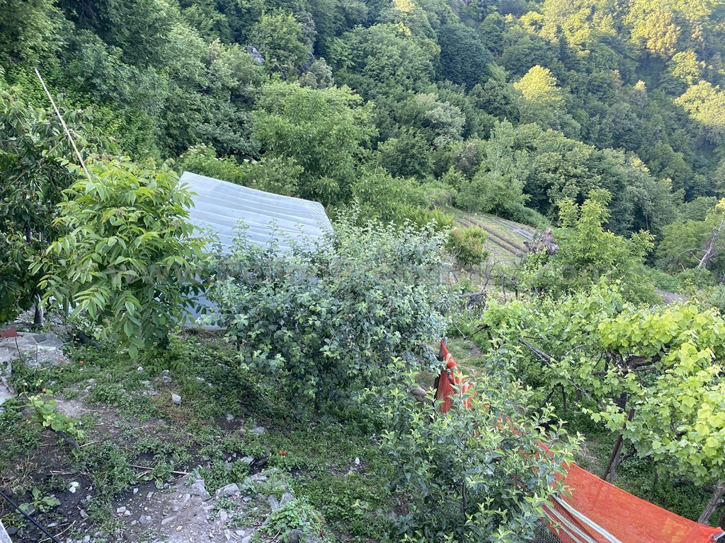 Μονοκατοικία 110 τ.μ. πρός πώληση, Μαγνησία, Ζαγορά