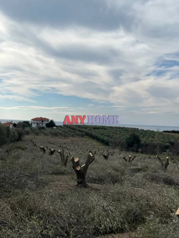 Αγροτεμάχια 8.200 τ.μ. προς πώληση, Παραλία Διονυσίου