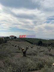 Αγροτεμάχια 8.200 τ.μ. για πώληση