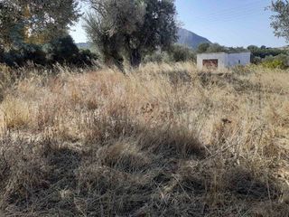 Οικόπεδο 958 τ.μ. για πώληση