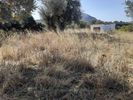 Land plot 958sqm for sale-Naxos - Drimalia » Damalas