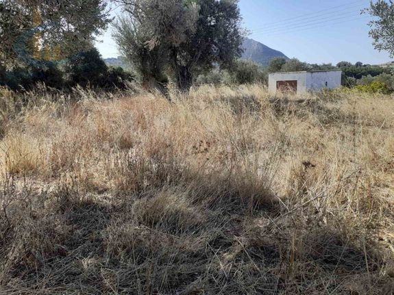 Land plot 958 sqm for sale, Cyclades, Naxos - Drimalia