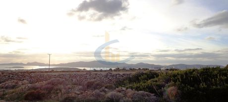 Οικόπεδο 13.938 τ.μ. για πώληση