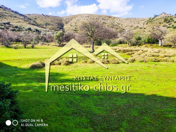 Οικόπεδο 4.500 τ.μ. για πώληση, Ν. Χίου, Χίος
