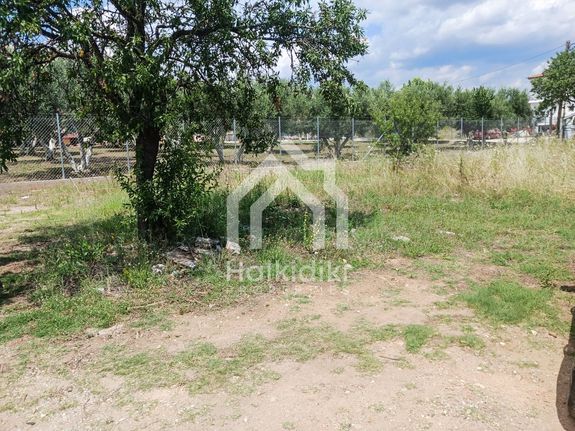 Land plot 1.250 sqm for sale, Chalkidiki, Sithonia
