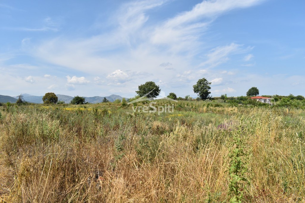 Αγροτεμάχια 7.600 τ.μ. για πώληση, Ν. Πρέβεζας, Πρέβεζα