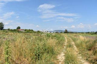 Αγροτεμάχια 7.600 τ.μ. για πώληση, Ν. Πρέβεζας, Πρέβεζα-thumb-3