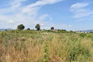 Αγροτεμάχια 7.600 τ.μ. για πώληση, Ν. Πρέβεζας, Πρέβεζα-thumb-4