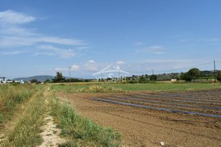 Αγροτεμάχια 7.600 τ.μ. για πώληση, Ν. Πρέβεζας, Πρέβεζα-thumb-6