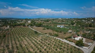 Αγροτεμάχια 2.000 τ.μ. για πώληση, Αργολίδα, Κρανίδι-thumb-6