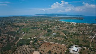 Αγροτεμάχια 2.000 τ.μ. για πώληση