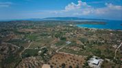 Αγροτεμάχια 2.000τ.μ. για πώληση-Κρανίδι » Πορτοχέλι