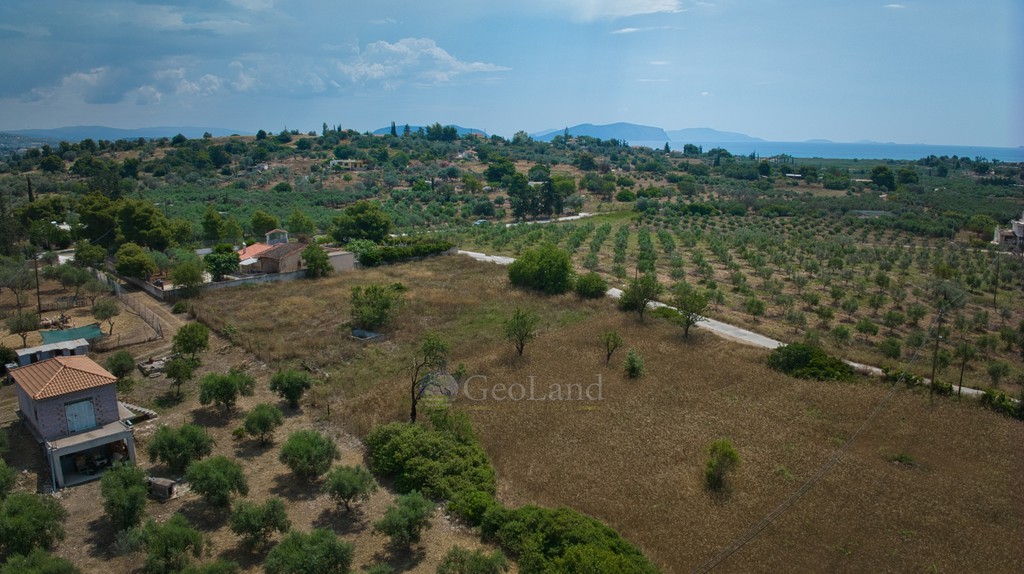 Αγροτεμάχια 2.000 τ.μ. προς πώληση, Πορτοχέλι