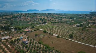 Αγροτεμάχια 2.000 τ.μ. για πώληση, Αργολίδα, Κρανίδι-thumb-24