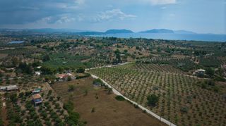 Αγροτεμάχια 2.000 τ.μ. για πώληση, Αργολίδα, Κρανίδι-thumb-11