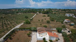 Αγροτεμάχια 2.000 τ.μ. για πώληση, Αργολίδα, Κρανίδι-thumb-12
