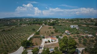 Αγροτεμάχια 2.000 τ.μ. για πώληση, Αργολίδα, Κρανίδι-thumb-20