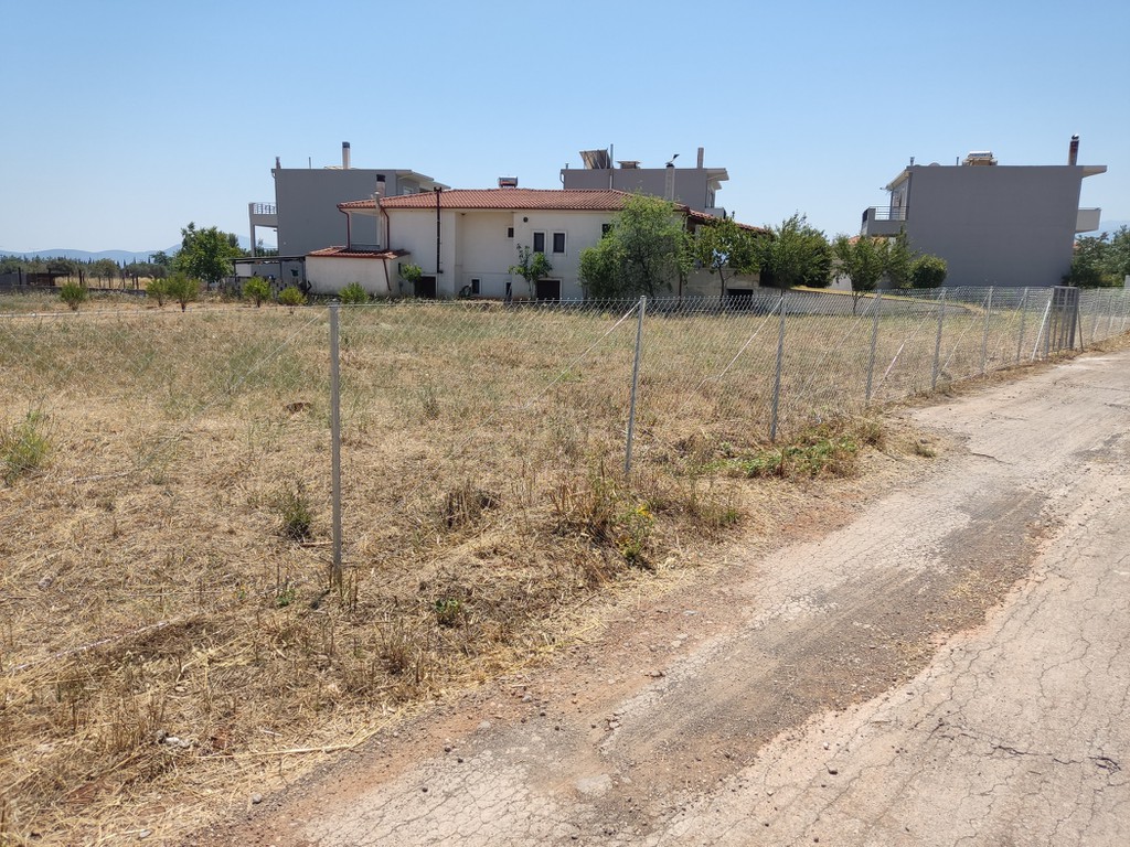 Οικόπεδο 2.000 τ.μ. πρός πώληση, Μαγνησία, Αλμυρός