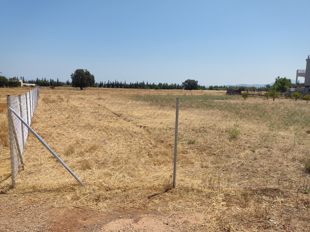 Οικόπεδο 2.000 τ.μ. πρός πώληση, Μαγνησία, Αλμυρός