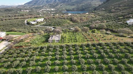 Οικόπεδο 11.759τ.μ. για πώληση-Γεωργιούπολη » Μαθές