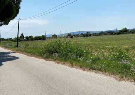 Αγροτεμάχια 9.200τ.μ. για πώληση-Θέρμη » Κέντρο θέρμης