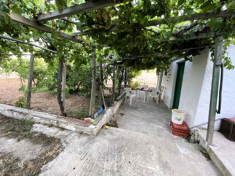 Μονοκατοικία 70τ.μ. για πώληση-Ιεράπετρα » Γρα λυγιά