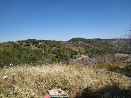 Οικόπεδο 6.600τ.μ. για πώληση-Κ. καπανδριτίου » Μικροχώρι
