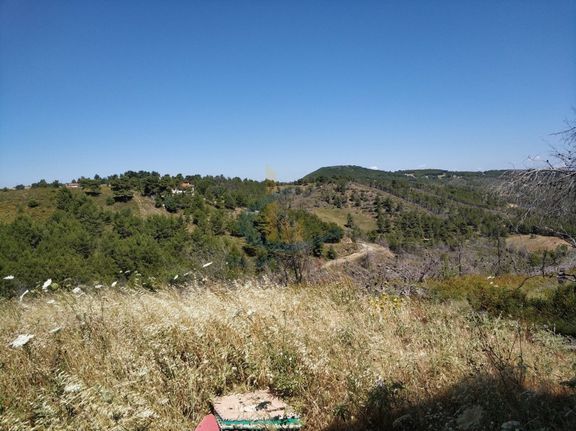 Οικόπεδο 6.600 τ.μ. για πώληση, Αττική - Υπόλοιπο, Κ. Καπανδριτίου