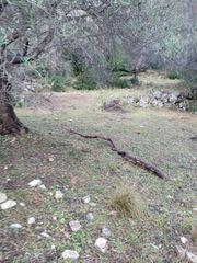 Άλλο 3.652 τ.μ. για πώληση, Ν. Λευκάδας, Λευκάδα-thumb-21