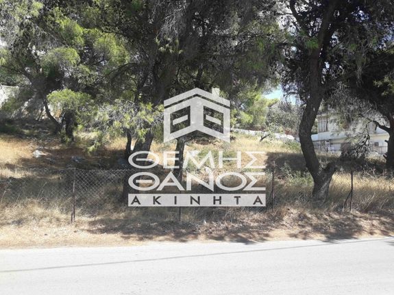 Land plot 976 sqm for sale, Athens - North, Penteli