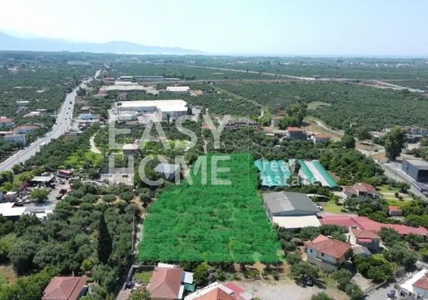 Land plot 5.556 sqm for sale, Messinia, Thouria