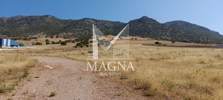 Αγροτεμάχια 9.100τ.μ. για πώληση-Ασπρόπυργος » Λάκκες κυρίλλου