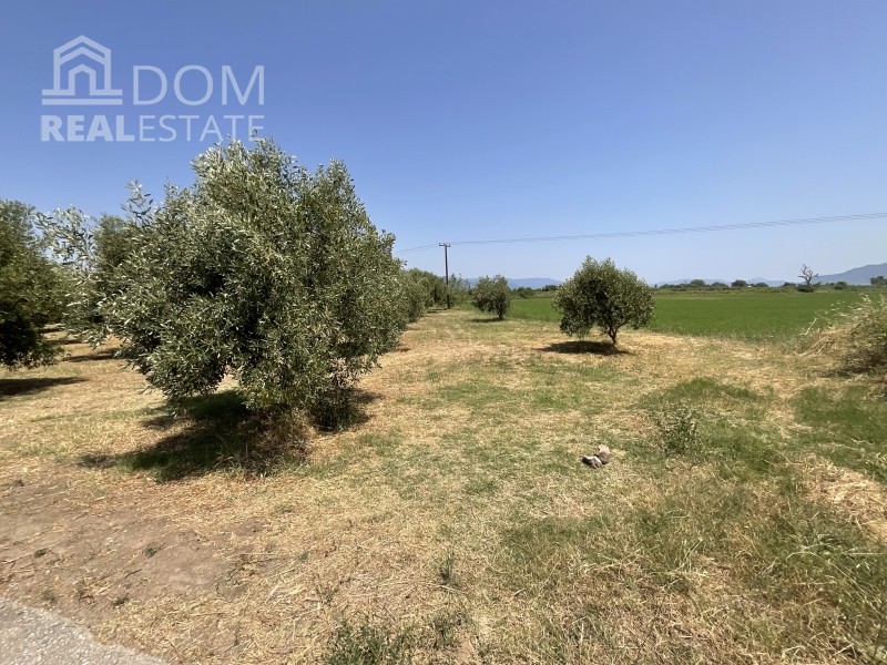Αγροτεμάχια 13.567 τ.μ. προς πώληση, Καινούργιο Καμένων Βούρλων