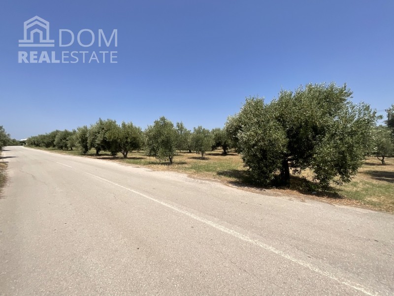 Αγροτεμάχια 13.567 τ.μ. προς πώληση, Καινούργιο Καμένων Βούρλων
