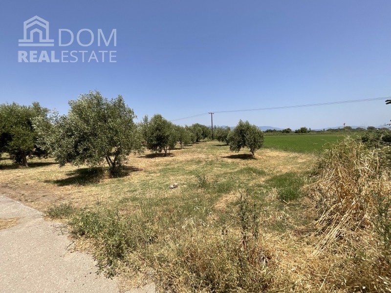 Αγροτεμάχια 13.567 τ.μ. προς πώληση, Καινούργιο Καμένων Βούρλων